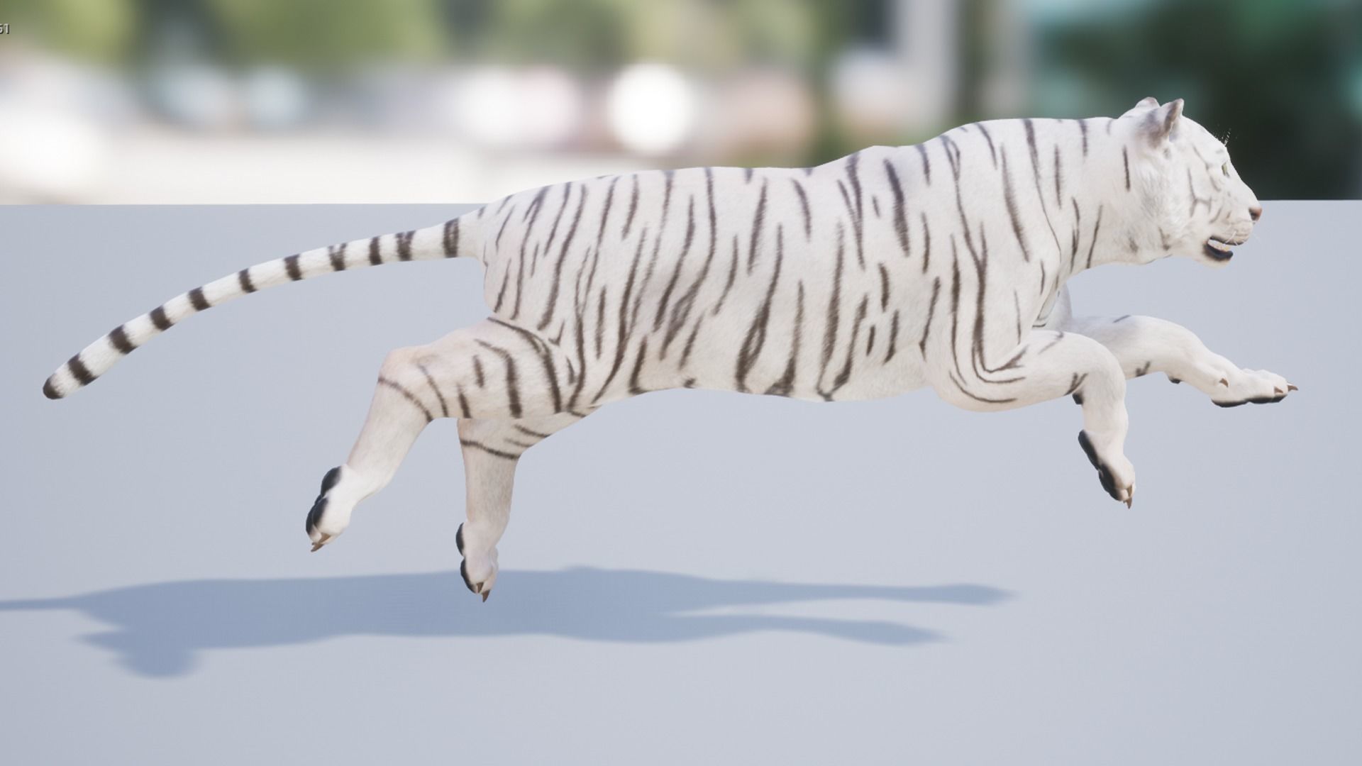 Pack of wild african cats Low-poly 3D model_18