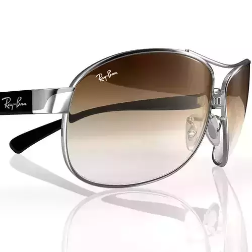Ray-Ban Sunglasses