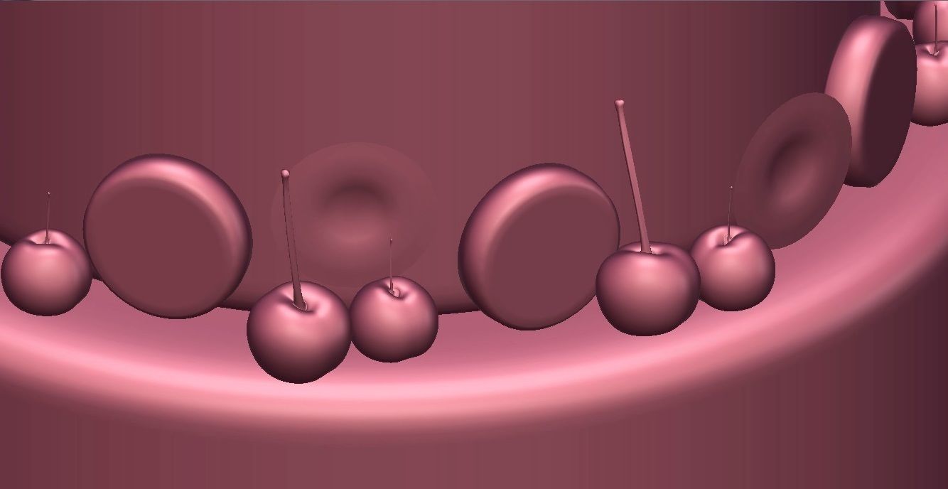 Chocolate Cookie Cake  Low-poly 3D model_9