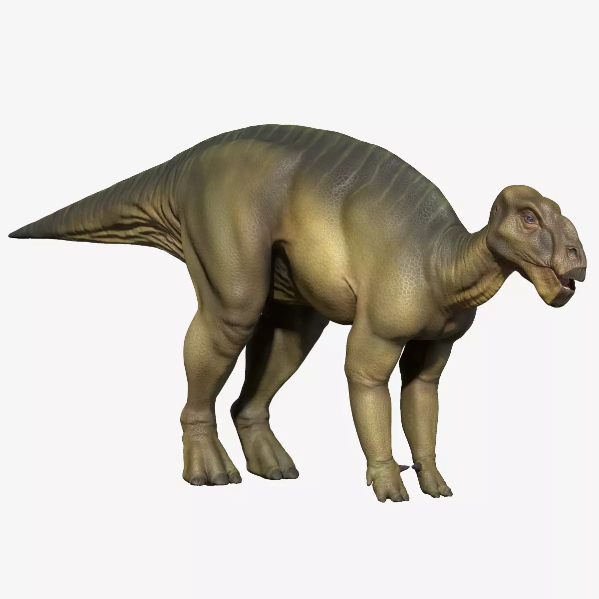 Iguanodon dinosaur Low-poly 3D model_0