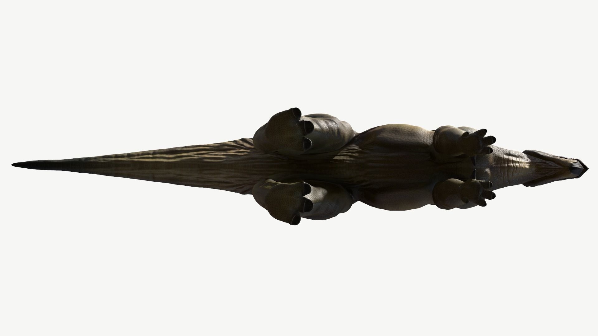 Iguanodon dinosaur Low-poly 3D model_11