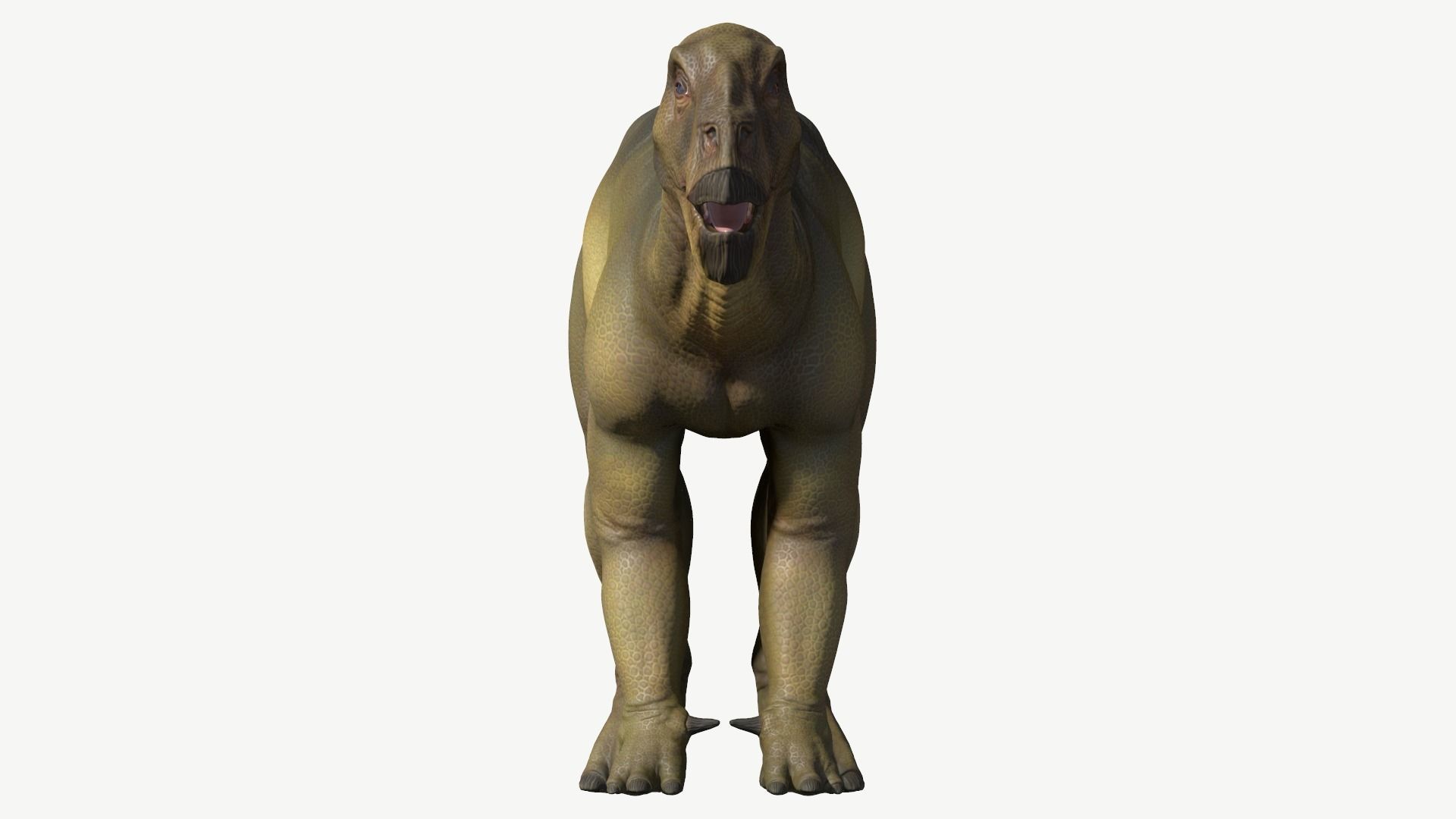 Iguanodon dinosaur Low-poly 3D model_9