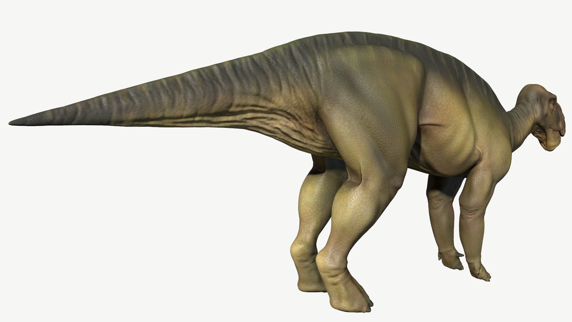 Iguanodon dinosaur Low-poly 3D model_5