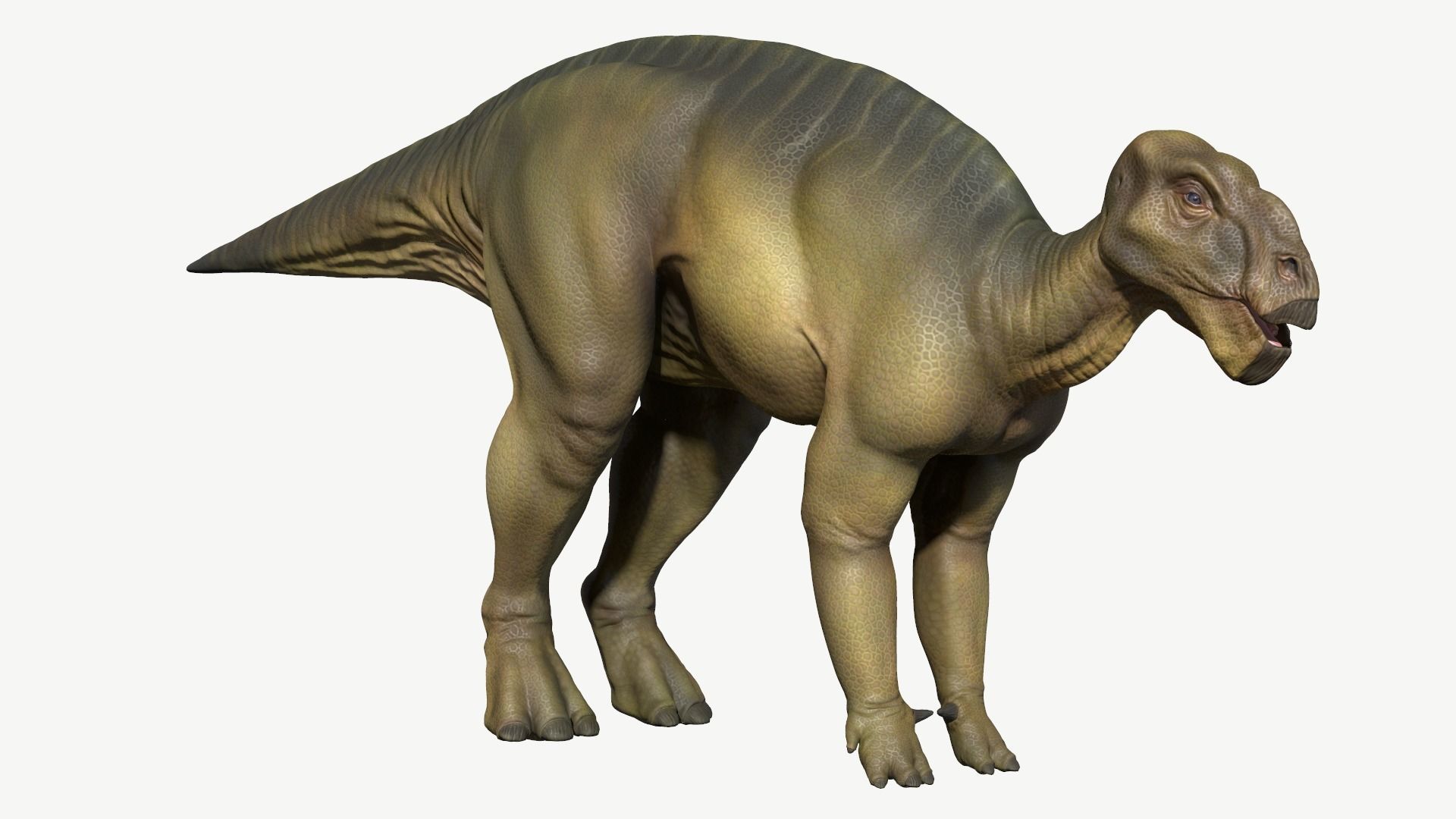 Iguanodon dinosaur Low-poly 3D model_1