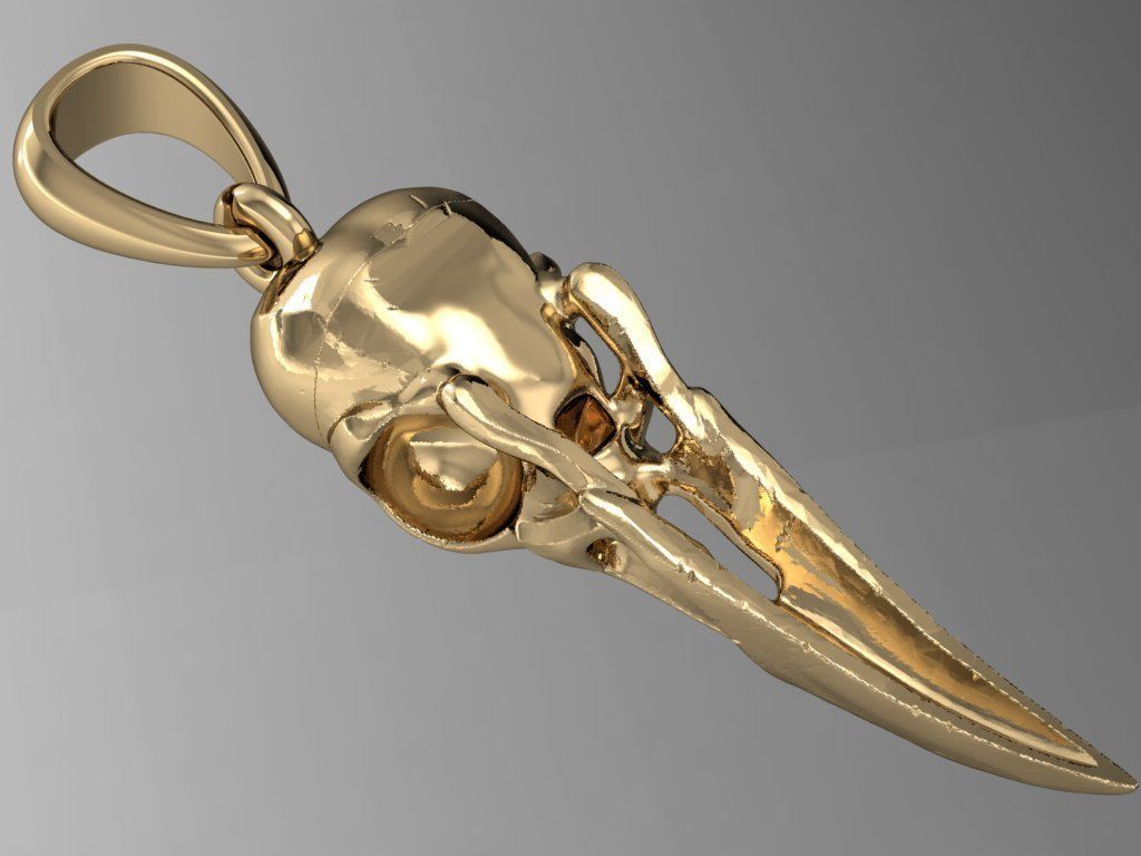 raven skull            3D print model_3