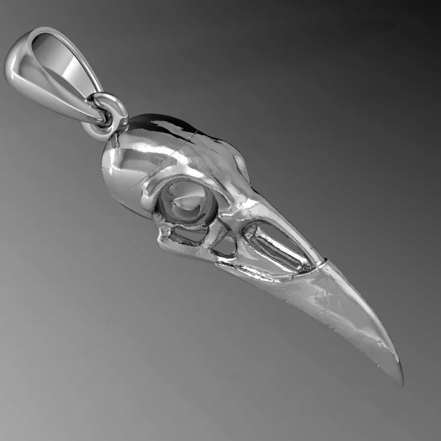 raven skull            3D print model_0