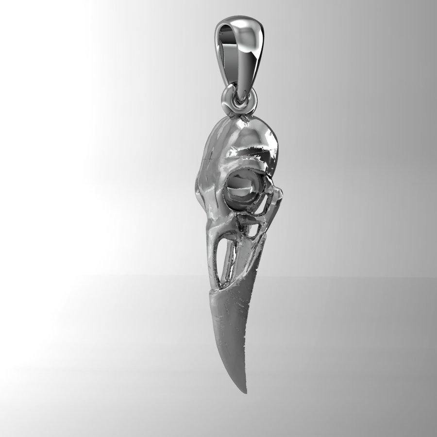 raven skull            3D print model_2