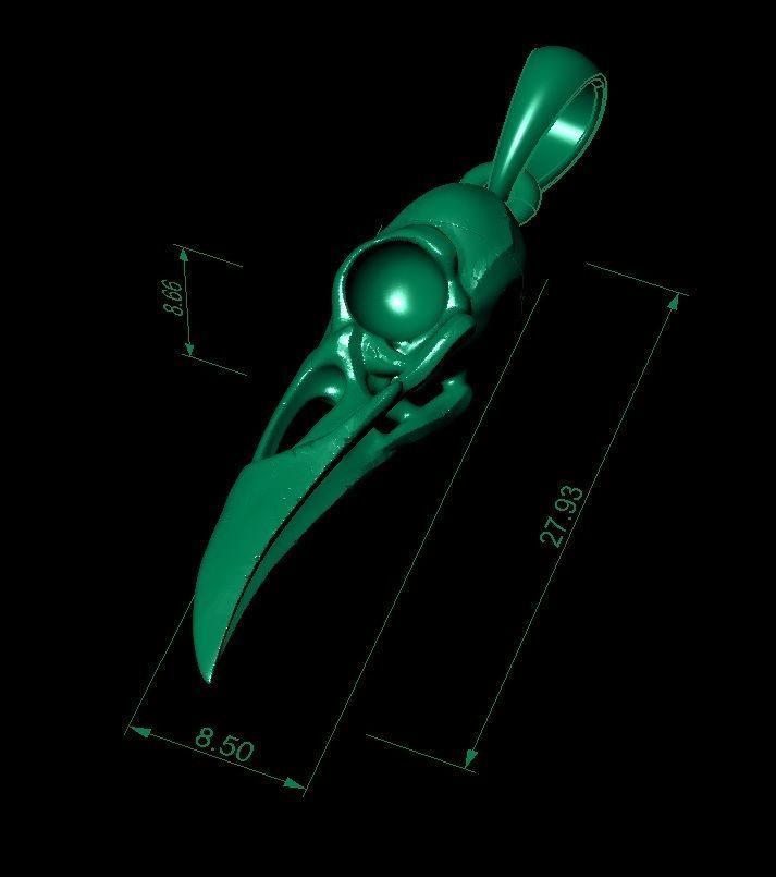 raven skull            3D print model_4