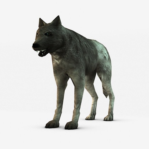 Wolf Low-poly 3D model_2