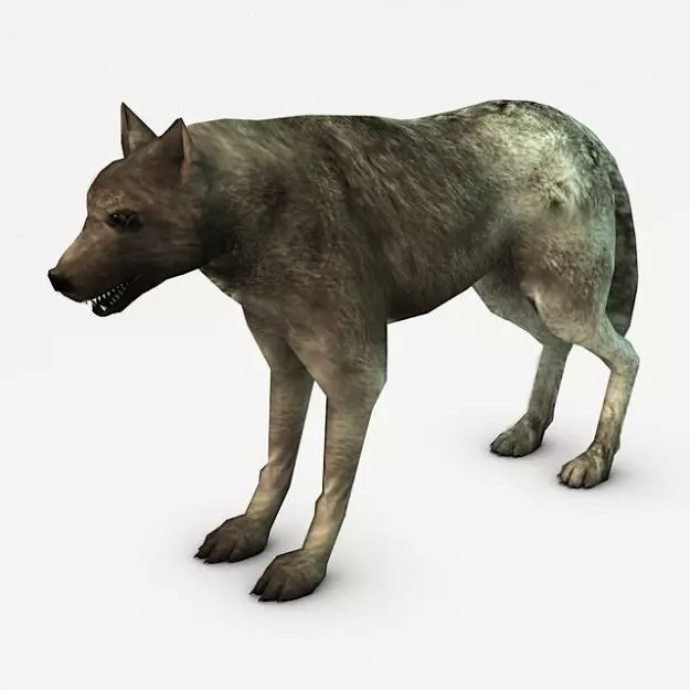 Wolf Low-poly 3D model_0