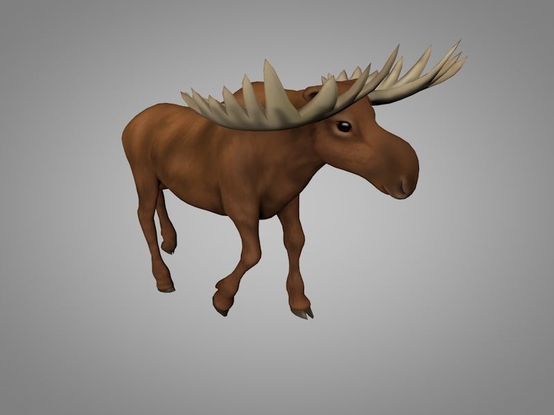 Moose with antlers Low-poly 3D model_4