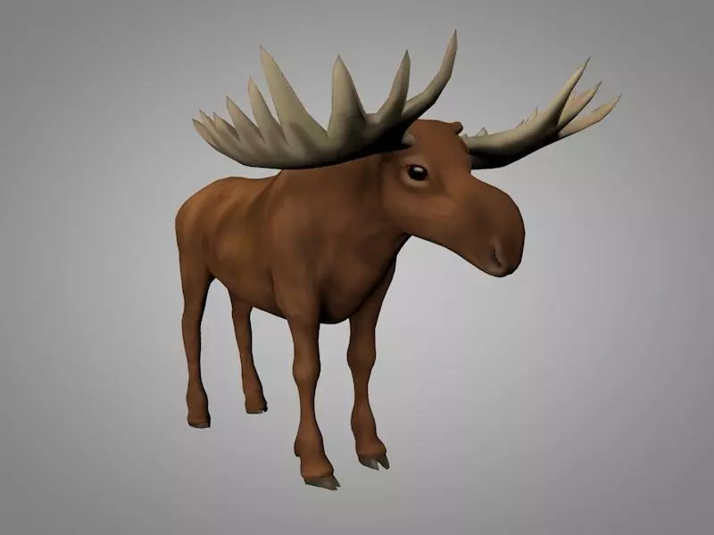 Moose with antlers Low-poly 3D model_0