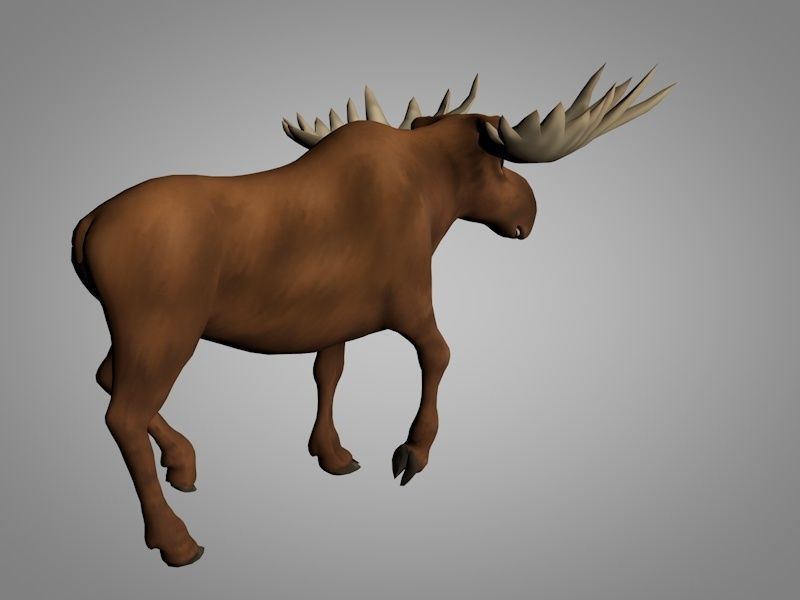 Moose with antlers Low-poly 3D model_5
