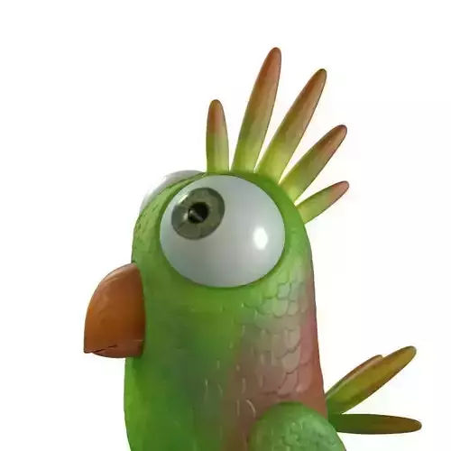 Cartoon Bird Character