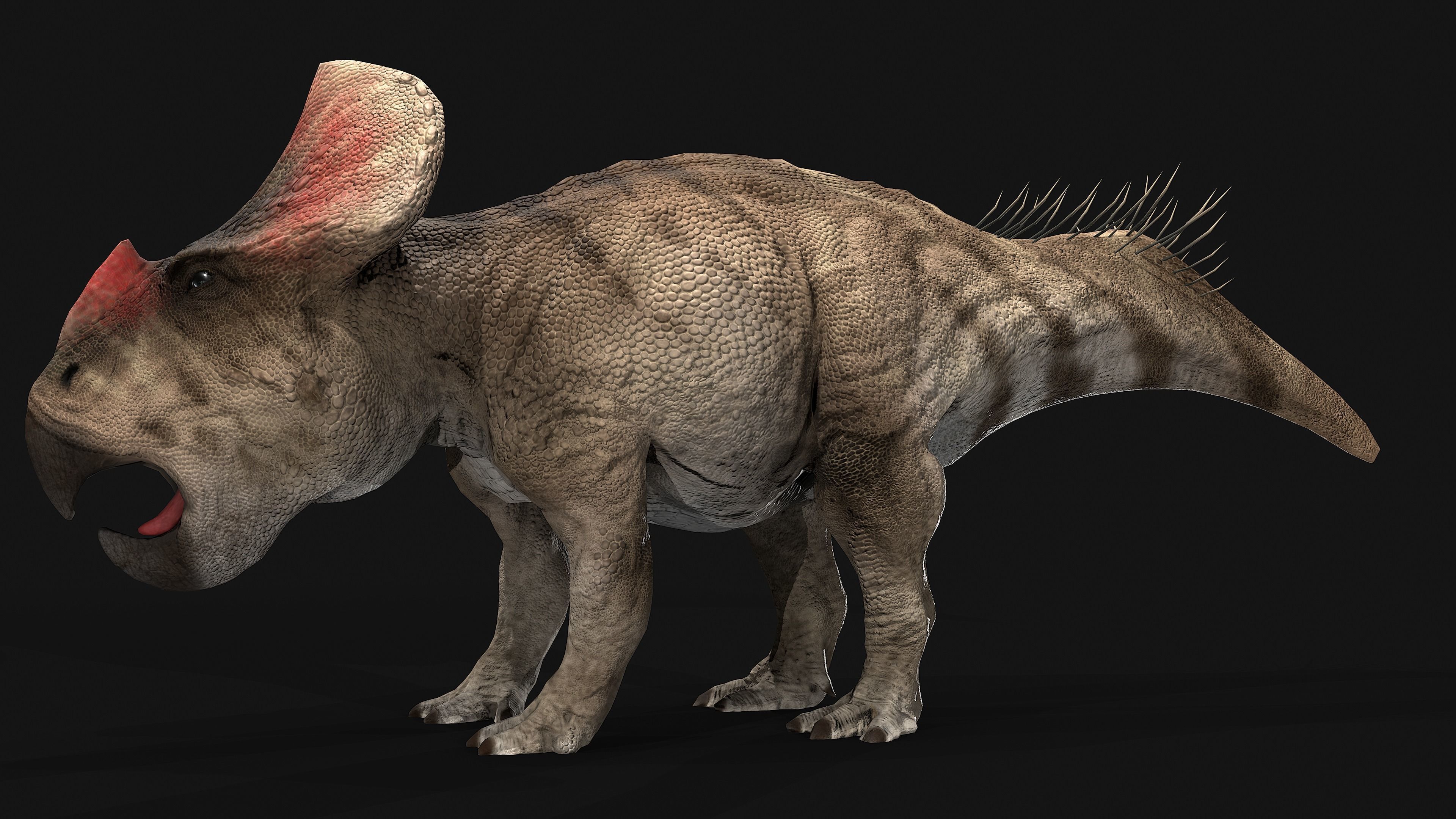 Protoceratops dinosaur Low-poly 3D model_1
