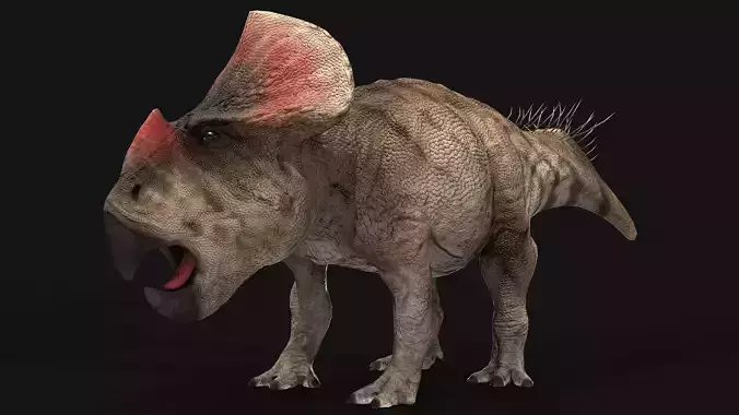 Protoceratops dinosaur