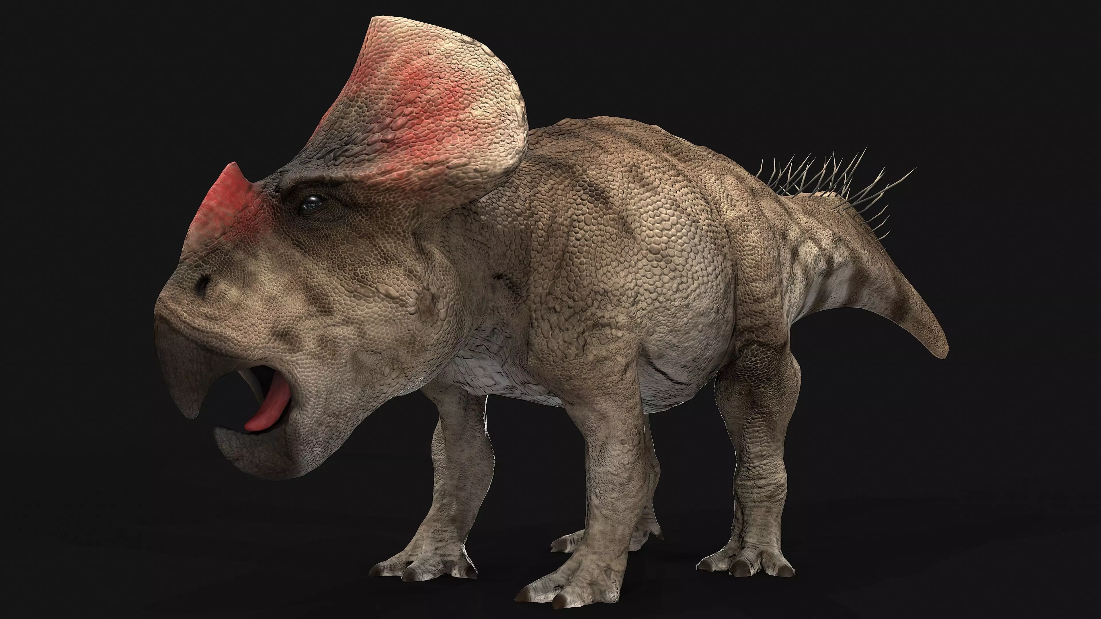 Protoceratops dinosaur Low-poly 3D model_0