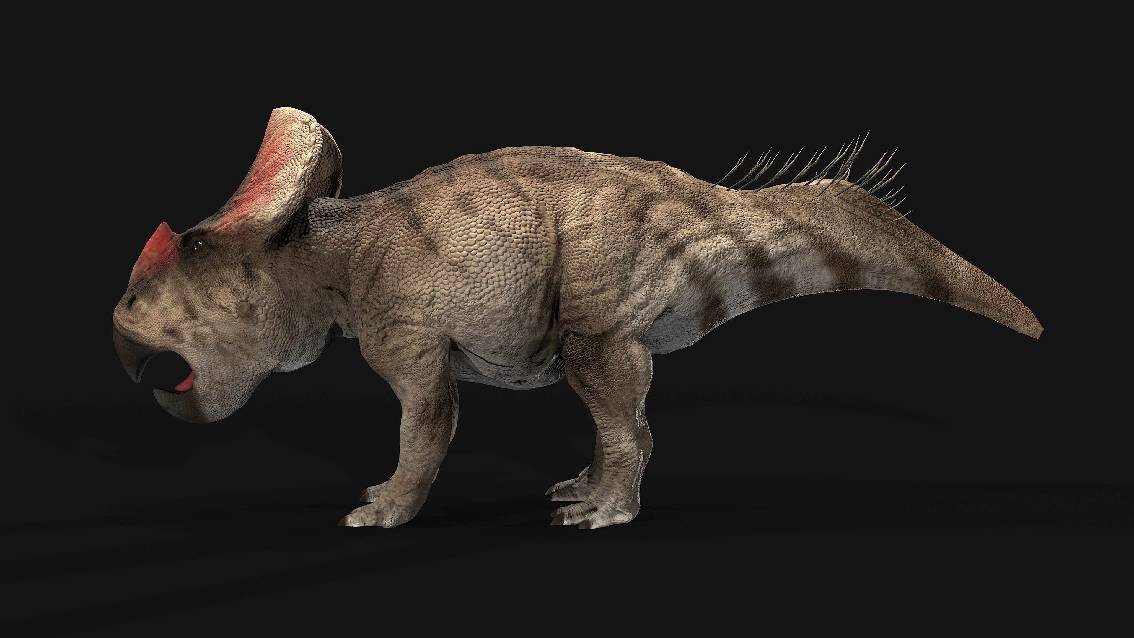 Protoceratops dinosaur Low-poly 3D model_4