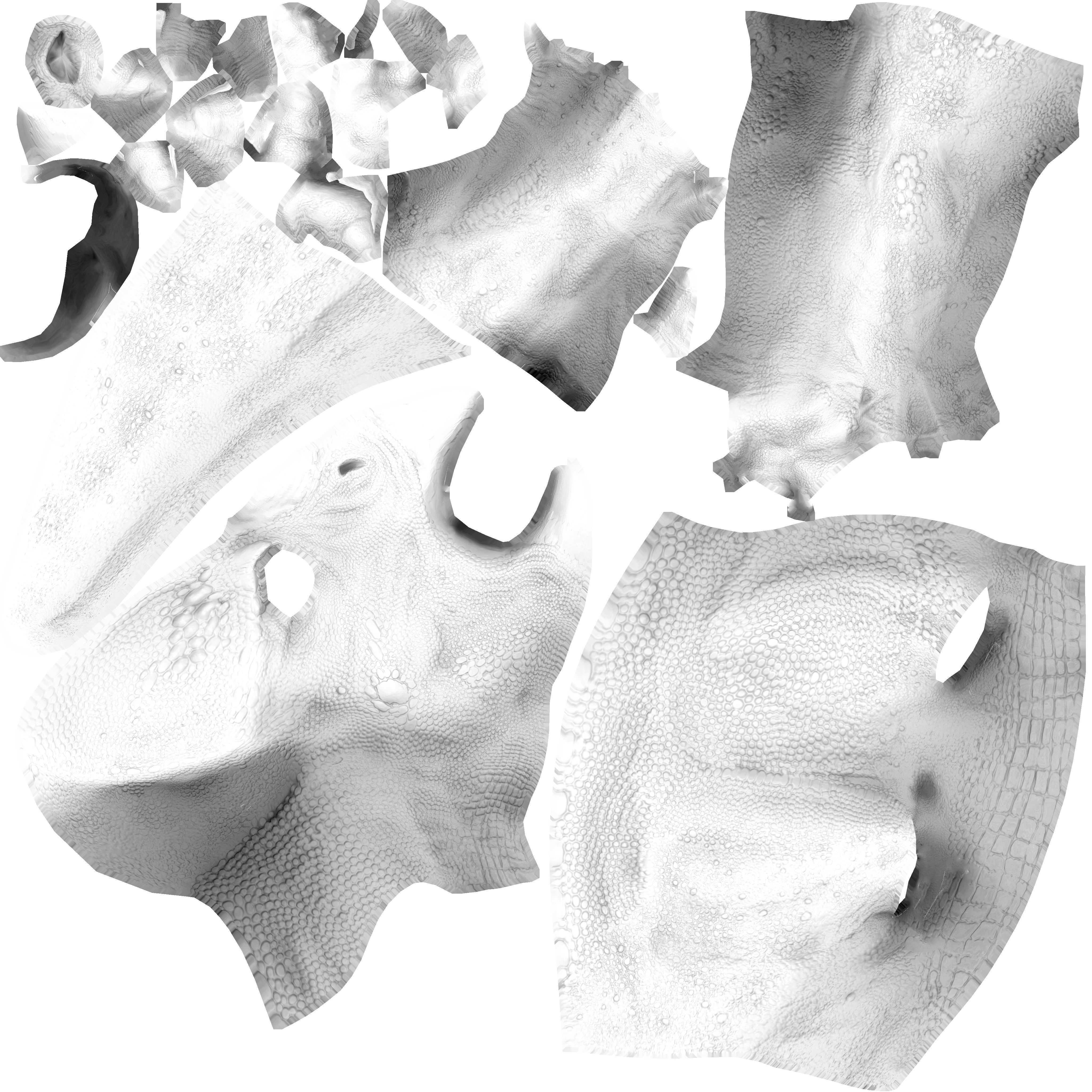 Protoceratops dinosaur Low-poly 3D model_5