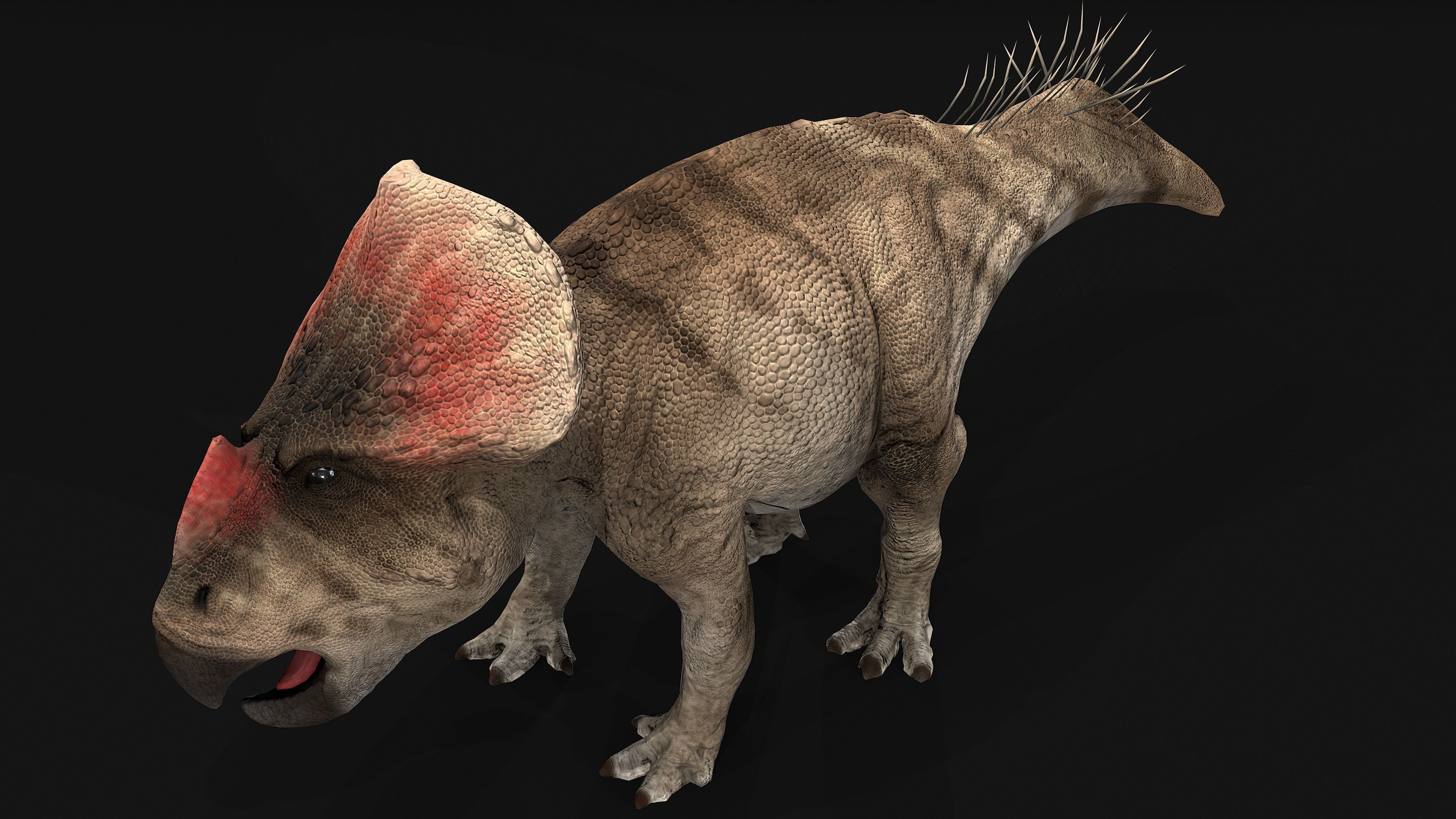 Protoceratops dinosaur Low-poly 3D model_3