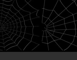 Spiderweb 3D Models | CGTrader
