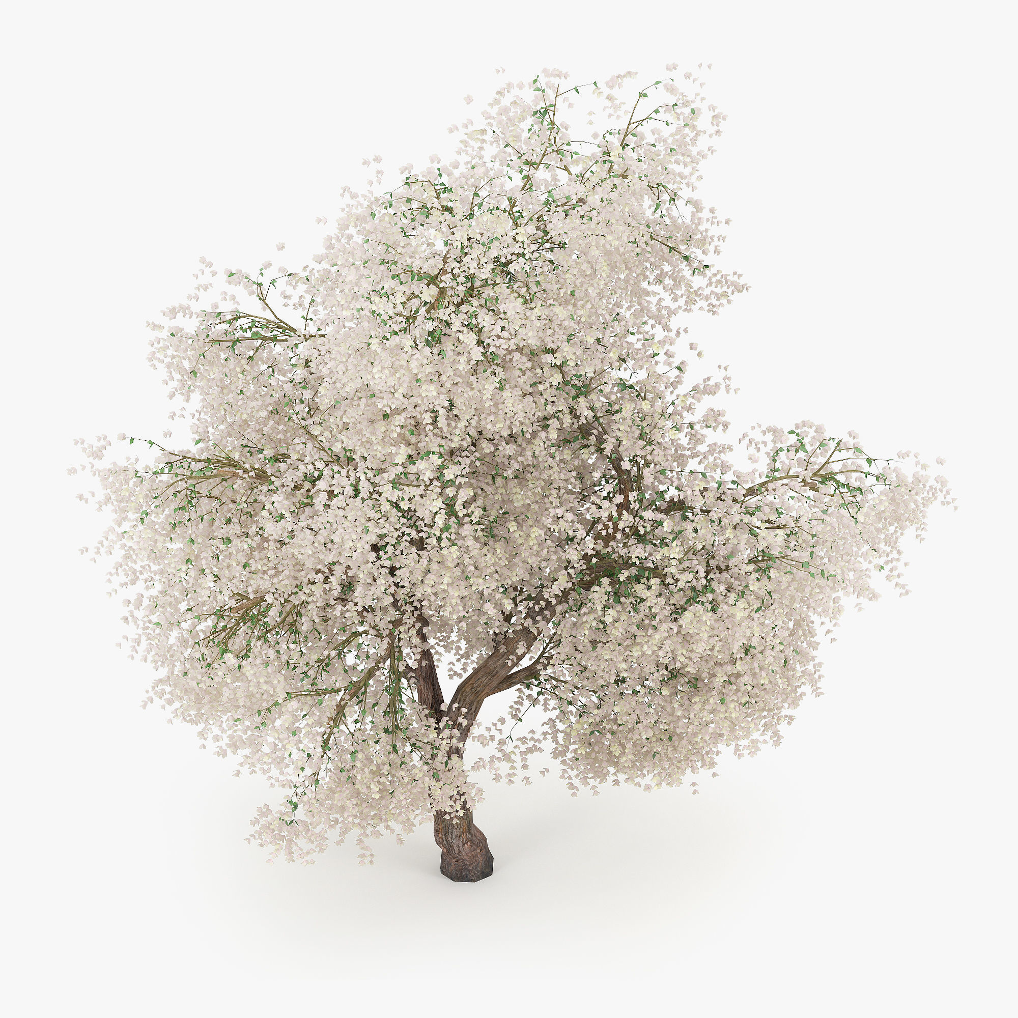 Flowering Apple Tree GrowFX 3D model_3