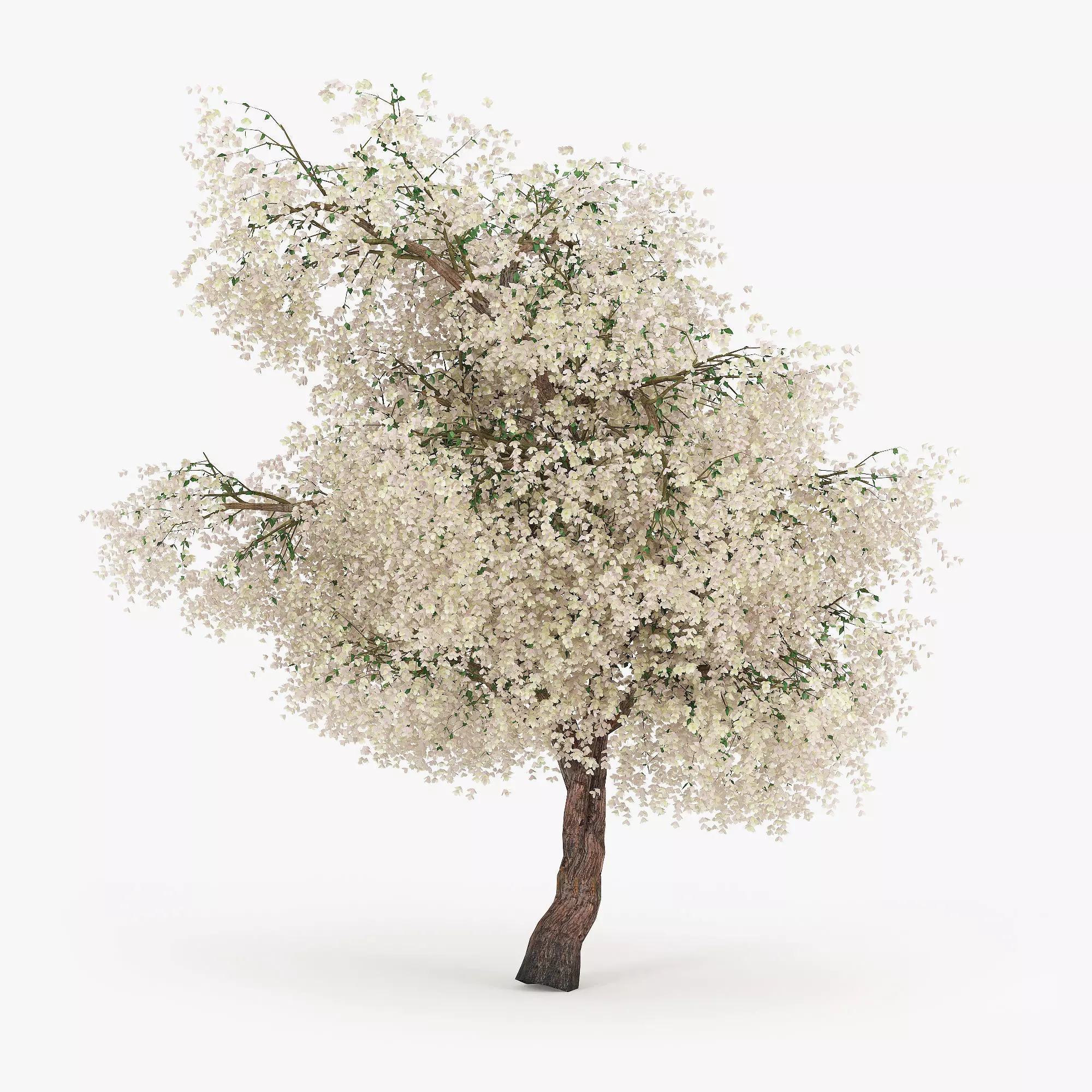 Flowering Apple Tree GrowFX 3D model_0