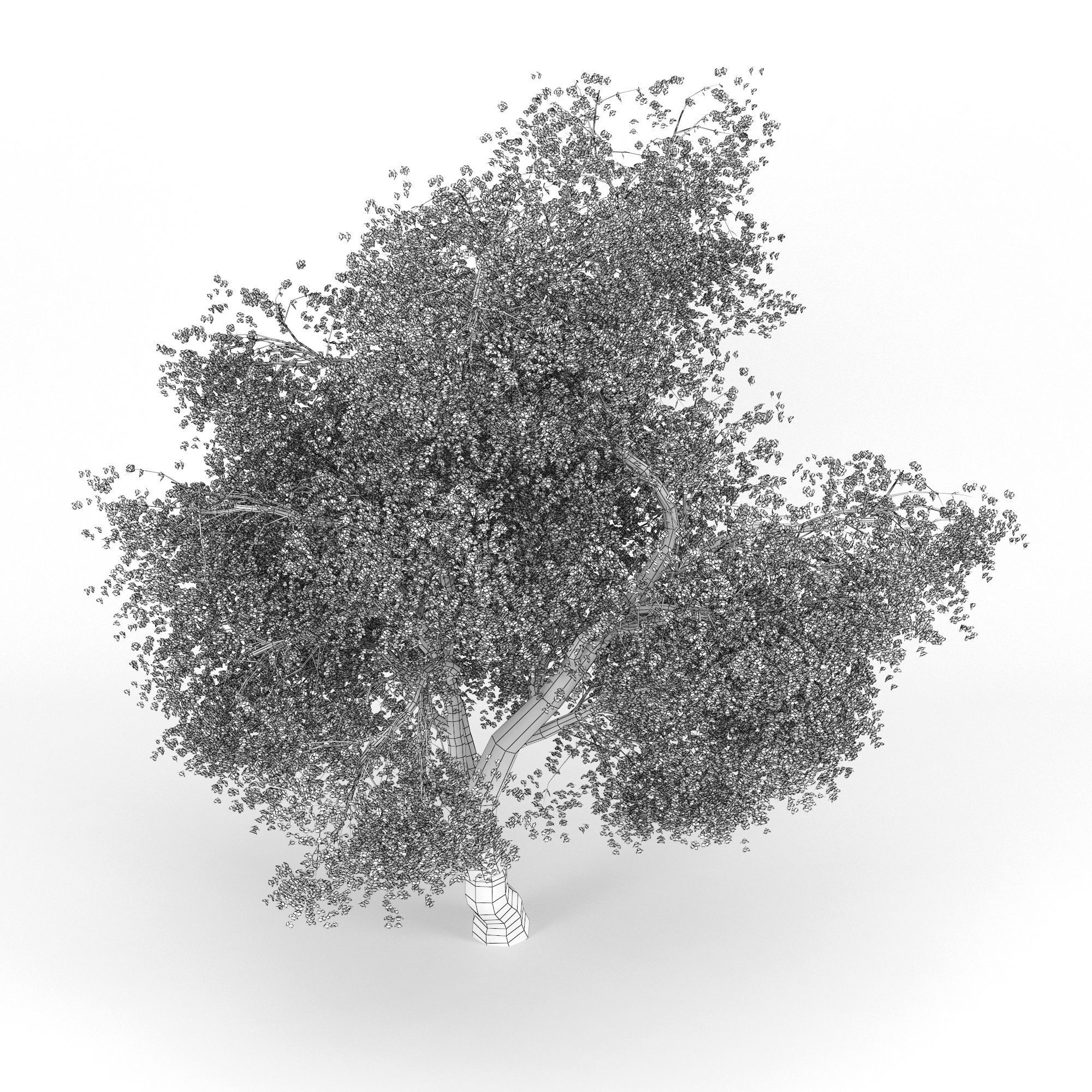 Flowering Apple Tree GrowFX 3D model_4