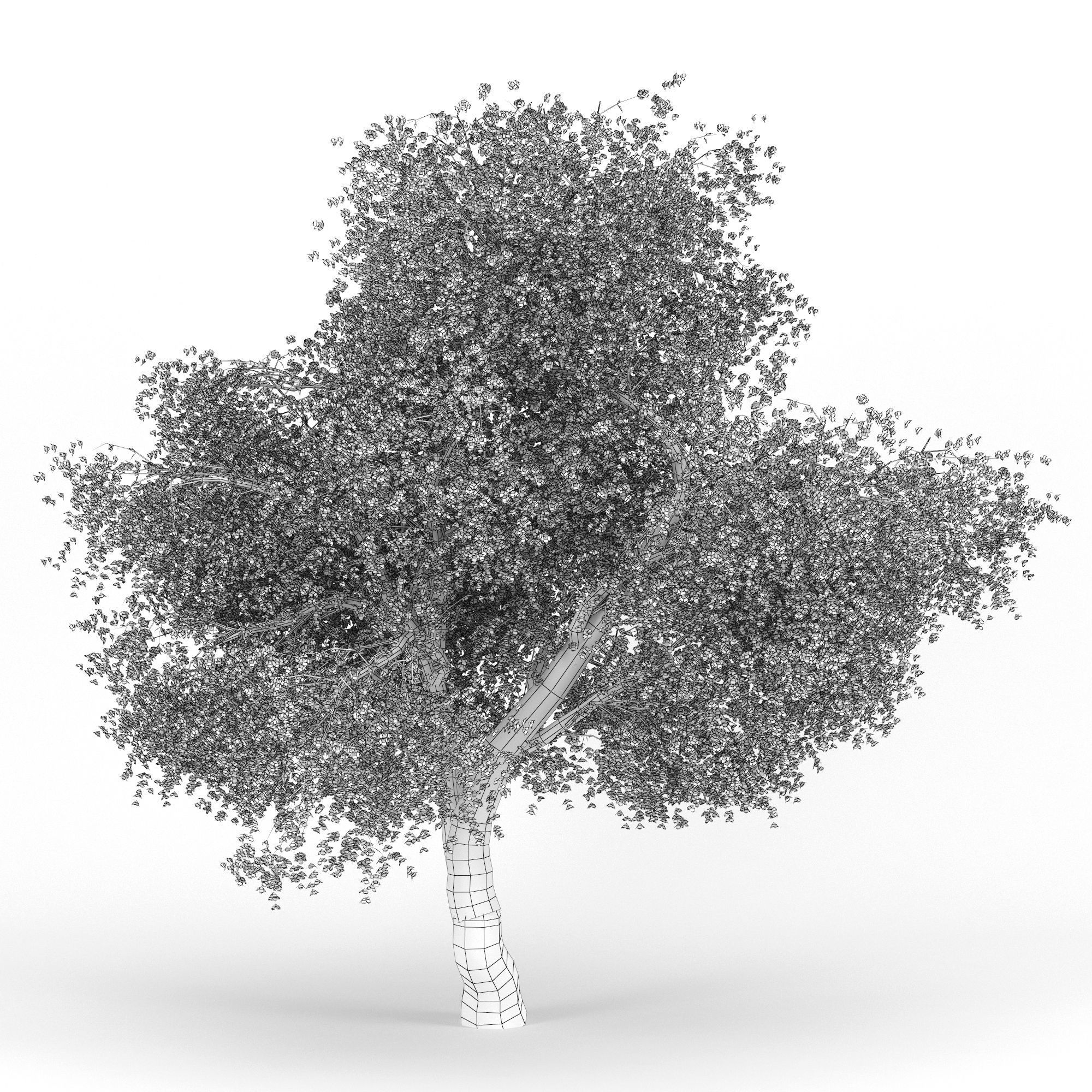 Flowering Apple Tree GrowFX 3D model_5