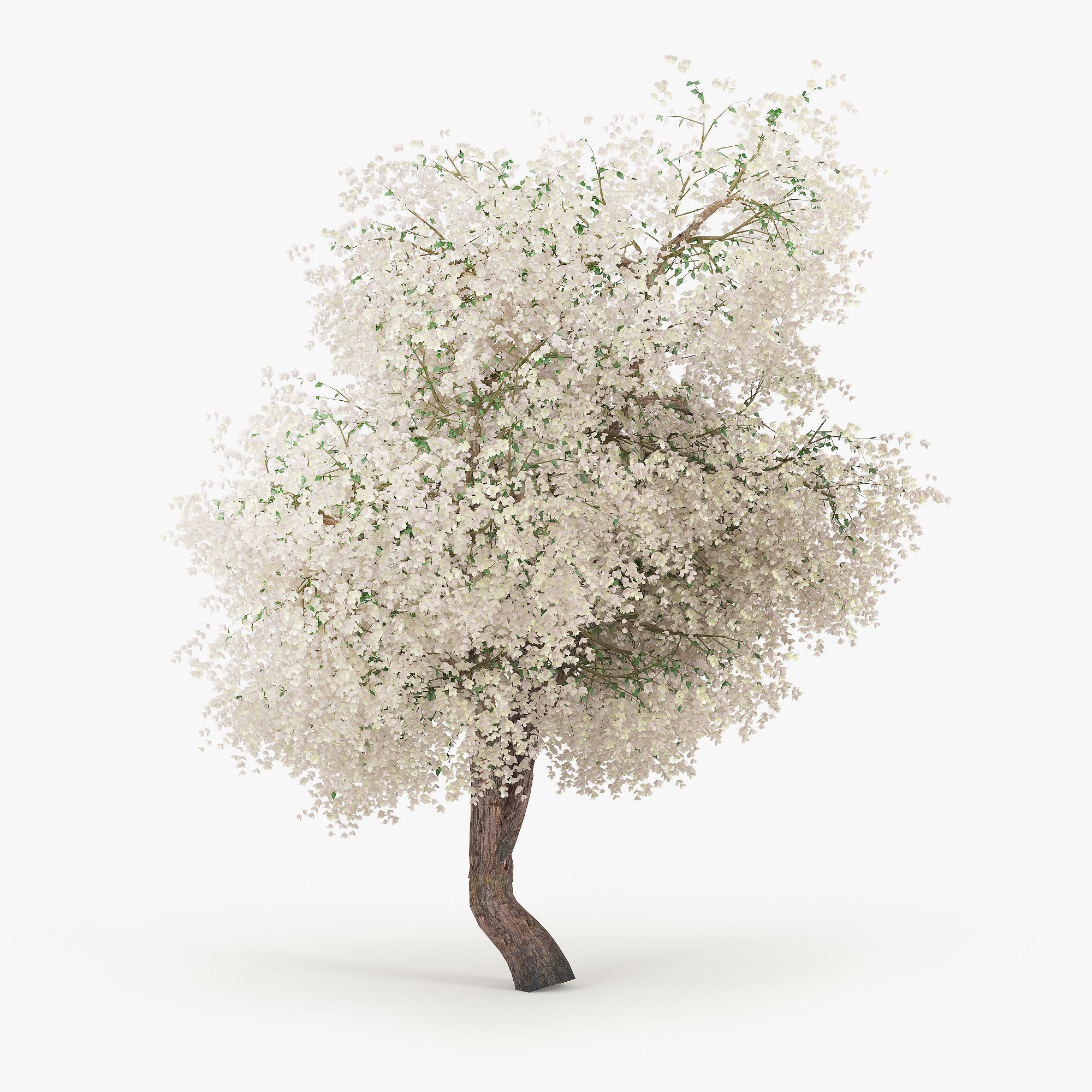 Flowering Apple Tree GrowFX 3D model_1