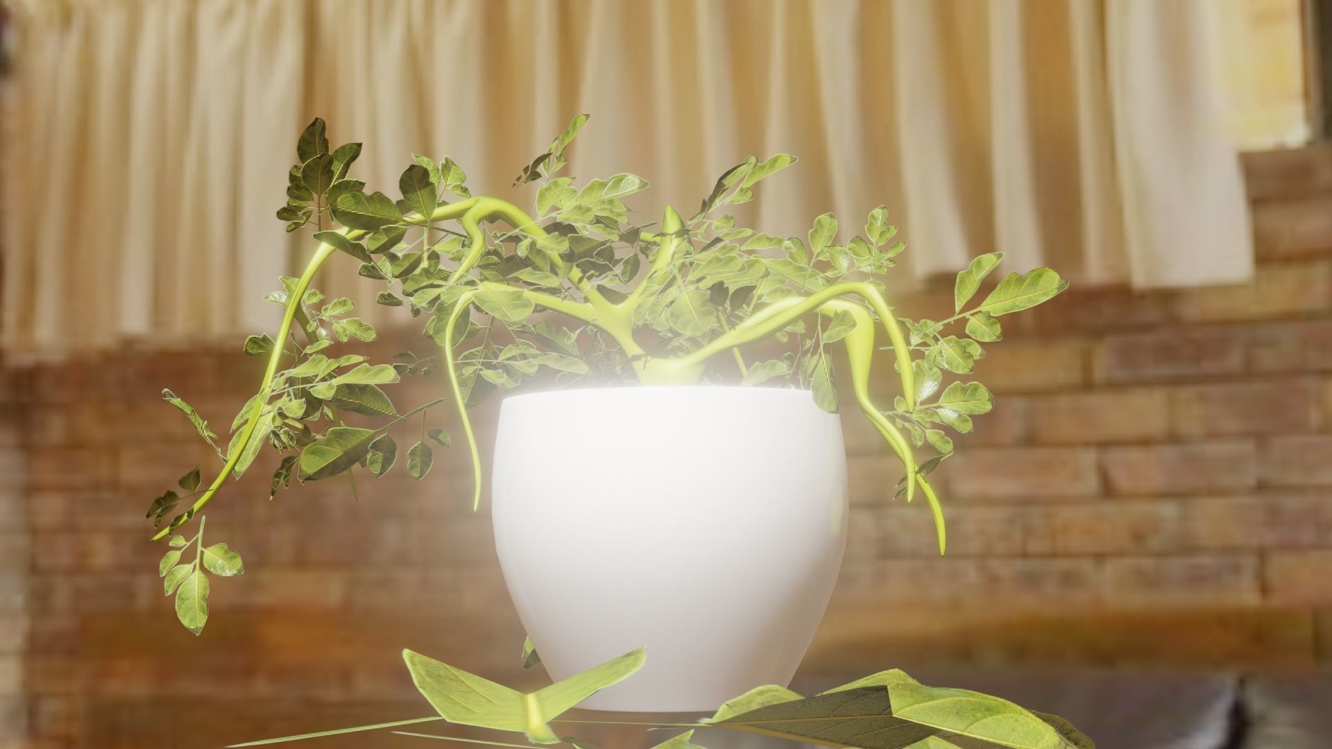 small plant for your archtectural renders Low-poly 3D model_2