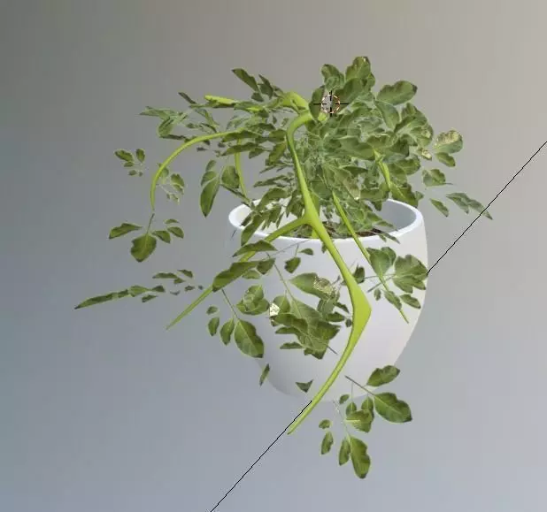 small plant for your archtectural renders Low-poly 3D model_0
