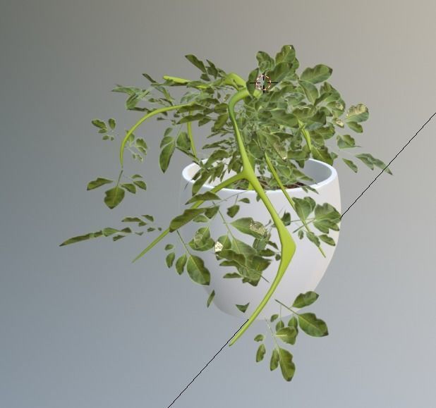 small plant for your archtectural renders Low-poly 3D model_5