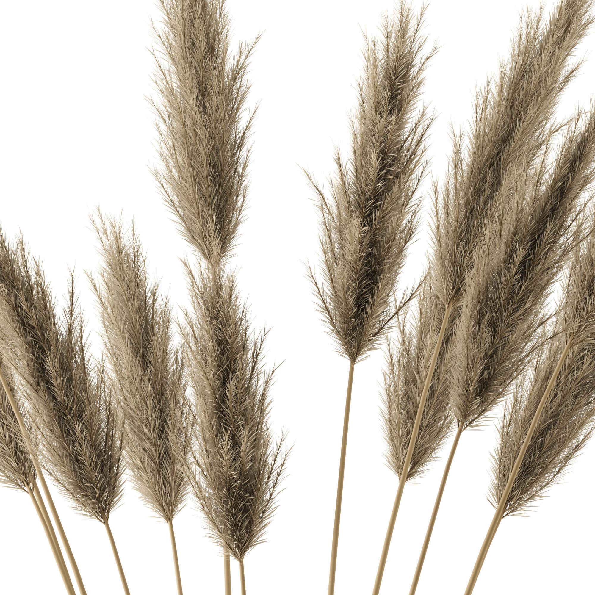 Plants in Echasse Vases 3D model_5