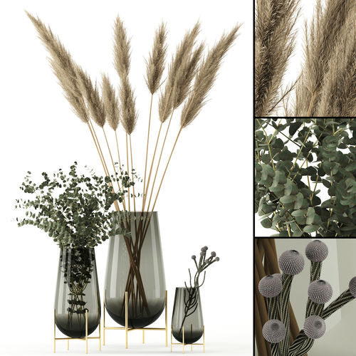 Plants in Echasse Vases 3D model