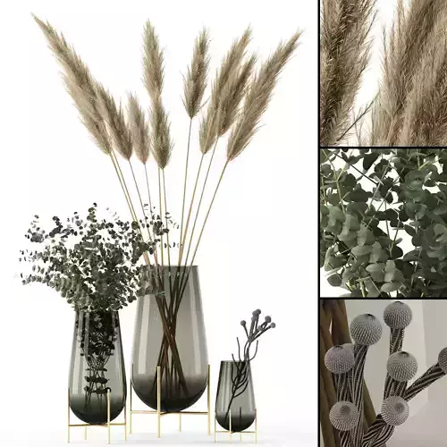 Plants in Echasse Vases
