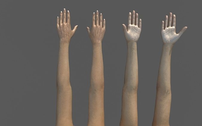 FPS female arms rigged 3D model Low-poly 3D model