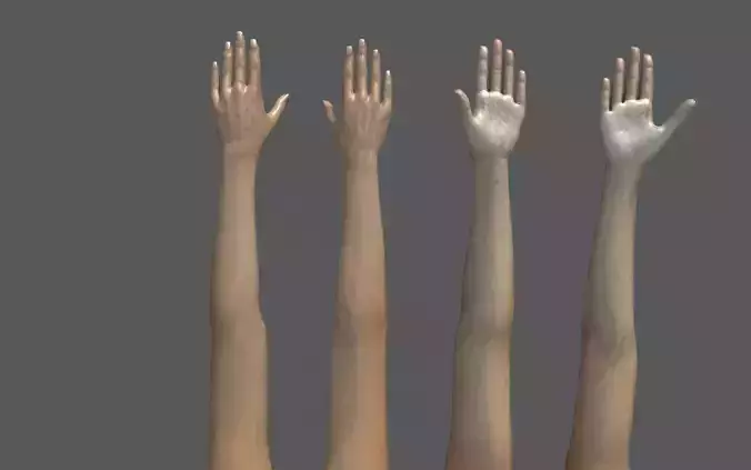 FPS female arms rigged 3D model Low-poly 3D model