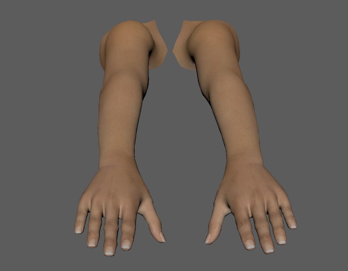 FPS female arms rigged 3D model Low-poly 3D model_7