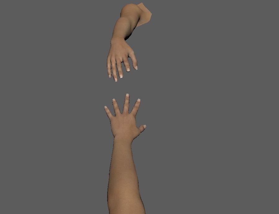 FPS female arms rigged 3D model Low-poly 3D model_5