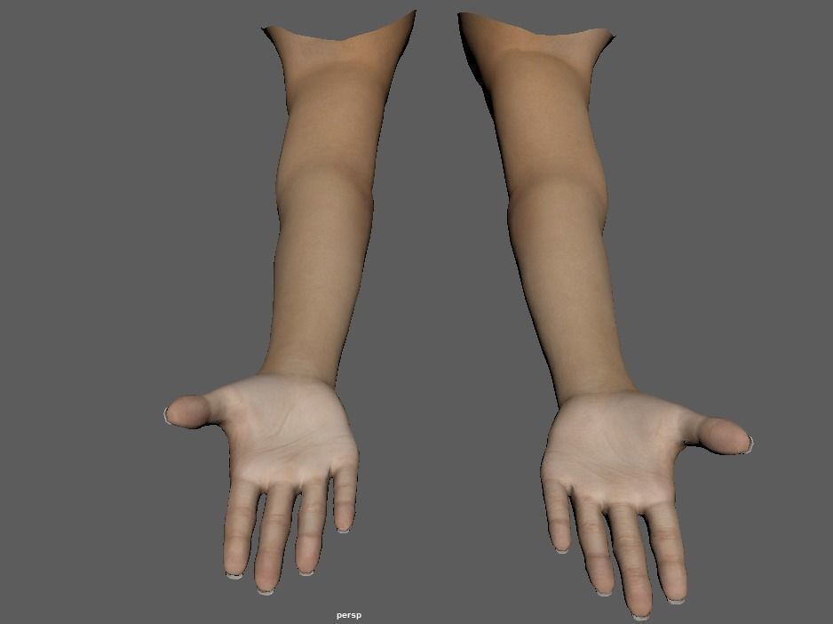 FPS female arms rigged 3D model Low-poly 3D model_6