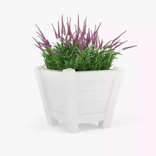 Calluna pot 3D model