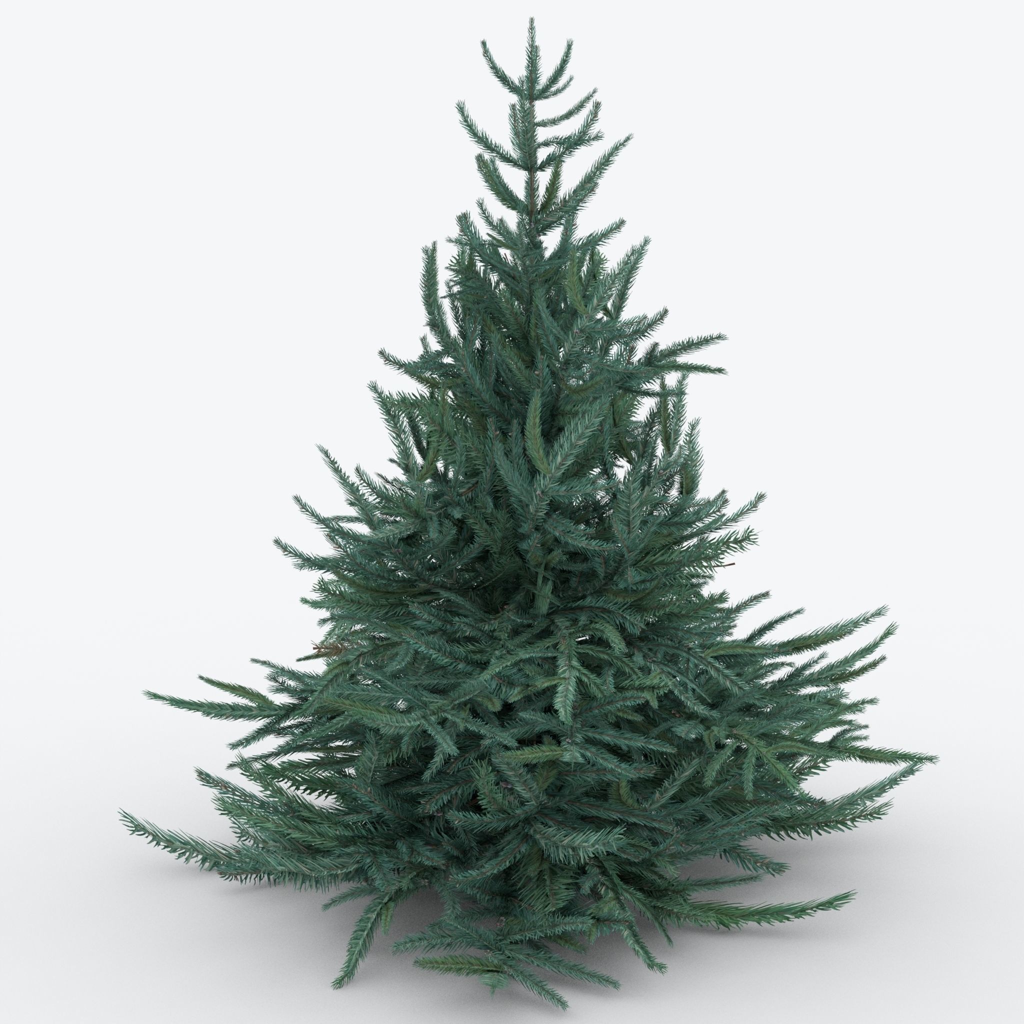 Firtree fir tree Low-poly 3D model_3