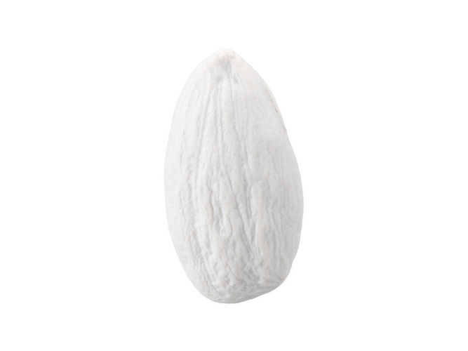 Photorealistic Almond 3D Scan 3D model 7
