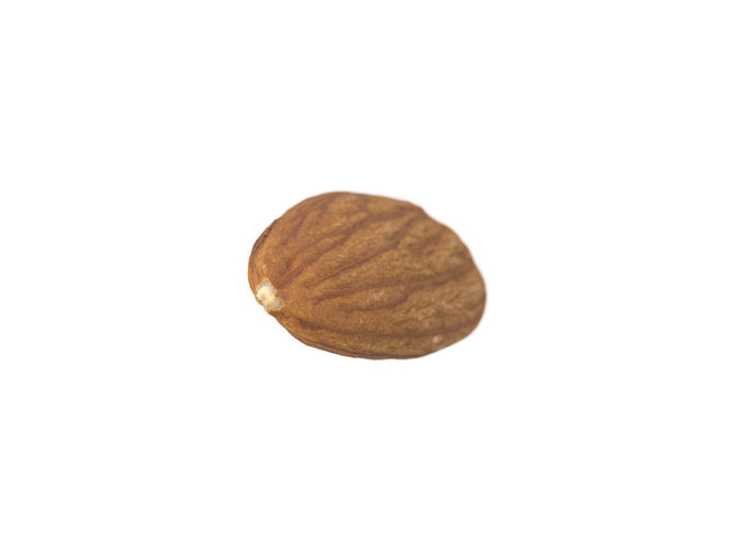 Photorealistic Almond 3D Scan 3D model 5