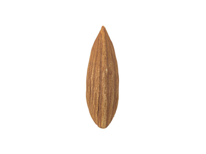 Photorealistic Almond 3D Scan 3D model 4