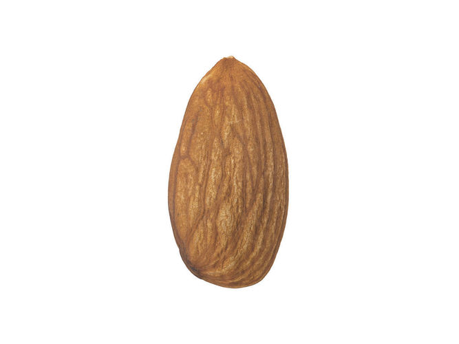 Photorealistic Almond 3D Scan 3D model 3