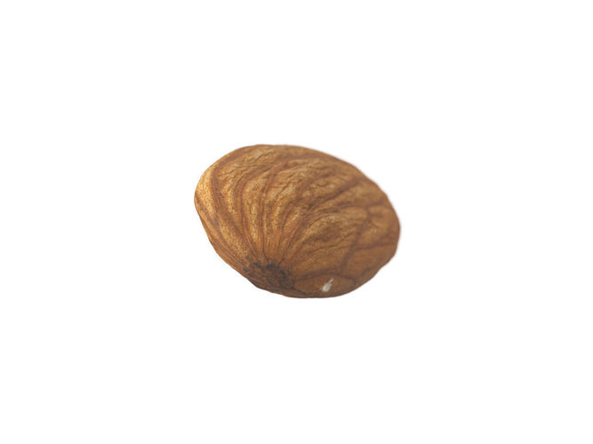 Photorealistic Almond 3D Scan 3D model 6