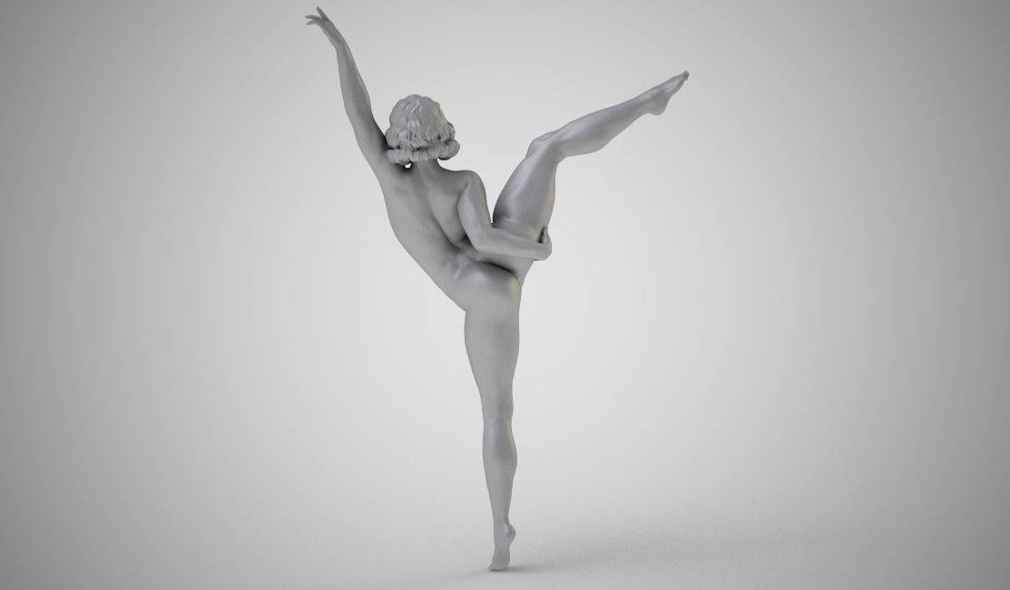 Fouette 3D print model_5