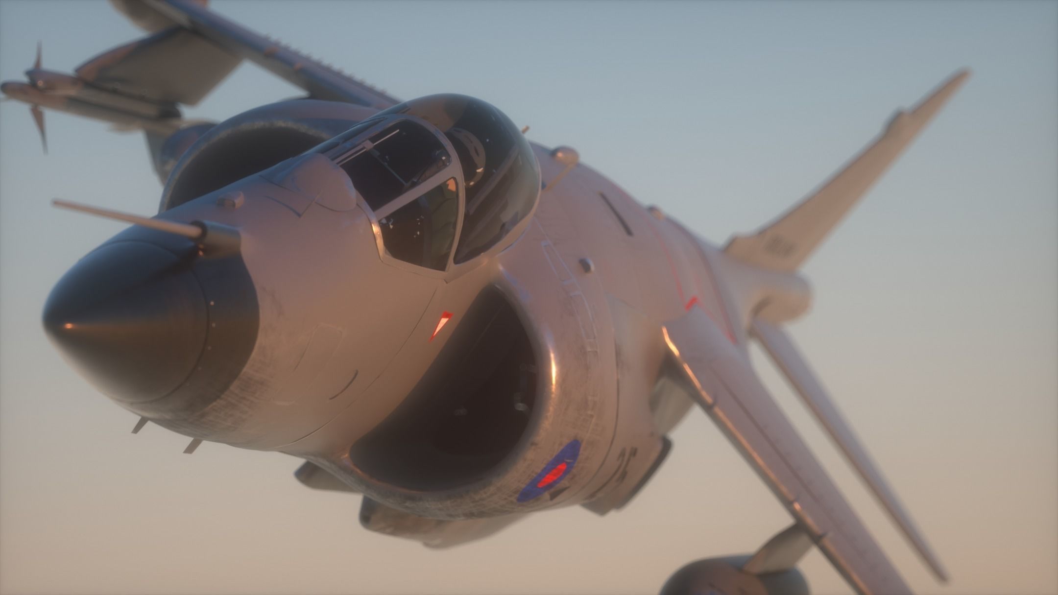 Sea Harrier FRS1 3D model_11